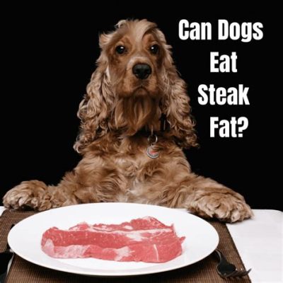 can dogs have steak fat