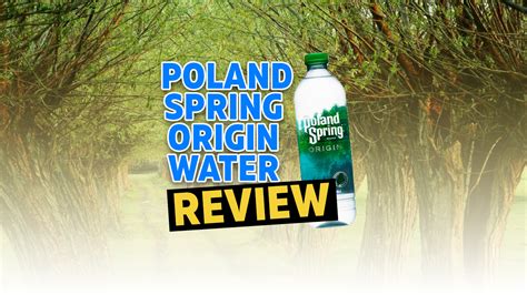 does poland spring have minerals? exploring the mystery behind the spring's secrets